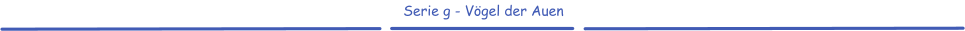 Serie g - Vögel der Auen